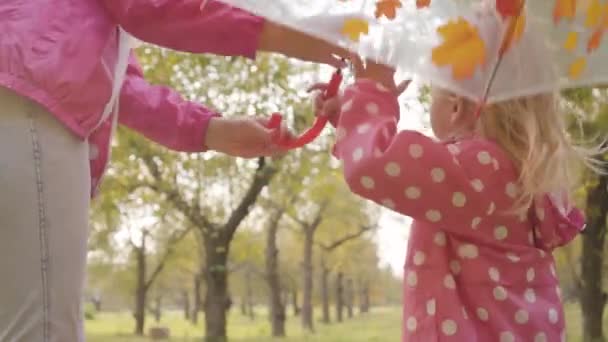 Detailní záběr hezkého blonďatého dítěte procházejícího se v podzimním lese se svou starší sestrou. Dvě kavkazské sestry oblečené v růžových šatech procházky venku. — Stock video