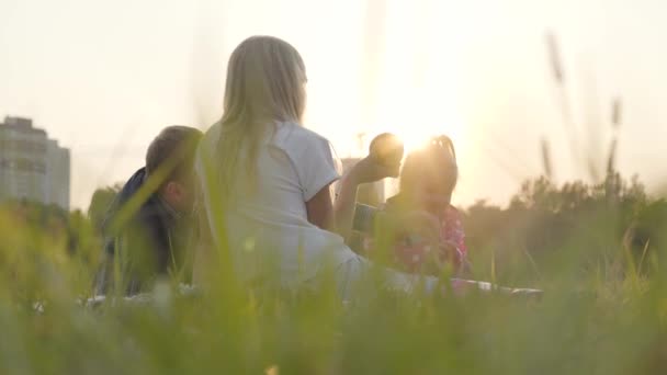 Dos chicas caucásicas y su padre sentados en el prado bajo los rayos del sol y comiendo manzanas. Familia feliz pasar tiempo juntos al aire libre . — Vídeo de stock