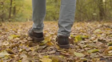 Mavi kotlu ve koyu kahverengi çizmeli bir erkek bacağı, sonbahar ormanında sarı yapraklar üzerinde yürüyor..