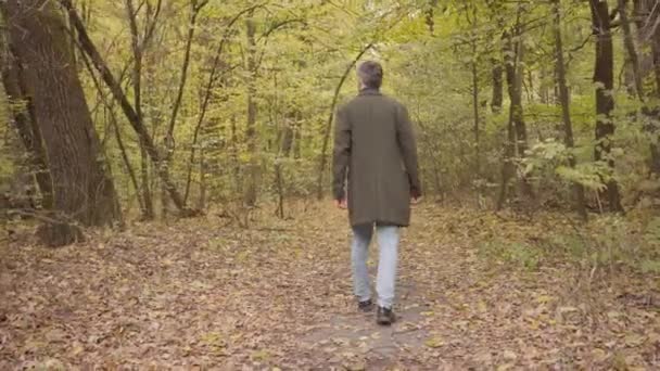 Vista trasera de un hombre caucásico adulto que se aleja en el bosque. Chico en ropa casual disfrutando tranquilo tranquilo otoño día solo . — Vídeos de Stock