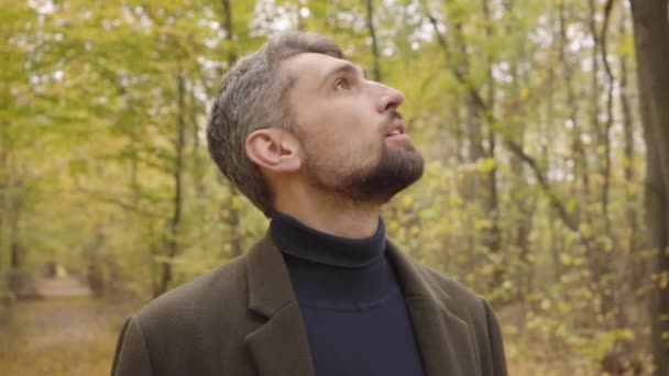 Close-up of a handsome Caucasian man with grey hair and brown eyes standing in the forest and looking up. Guy in casual clothes enjoying calm quiet autumn day alone. — ストック動画