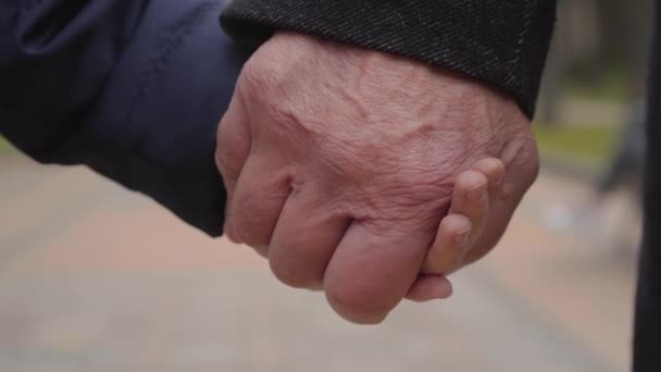 Close-up of a mature male Caucasian hand holding childs palm. Unity of grandfather and granddaughter. — ストック動画