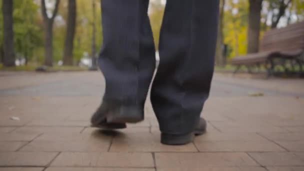 Vista posteriore di gambe maschili in pantaloni classici neri e scarpe che camminano lungo il vicolo ricoperto di foglie gialle . — Video Stock