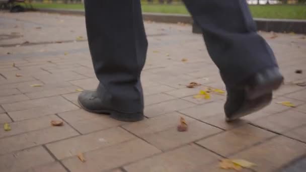 穿着黑色经典裤子和鞋子的男性腿在黄叶覆盖的小巷中的特写. — 图库视频影像