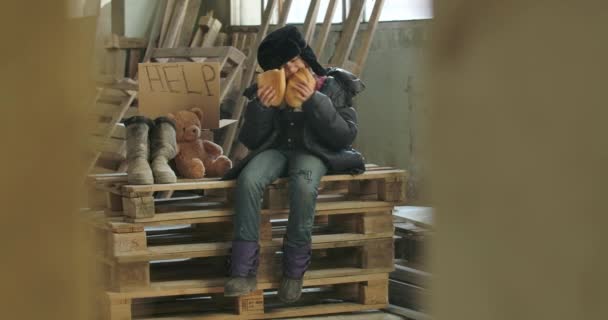 Portrait of a homeless girl in dirty clothes and hat with earflaps sitting on palettes and eating the loaf of bread greedily. Hungry refugee sitting on the construction site with Help cardboard and — Stock Video