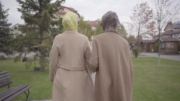 Vista posterior de dos hermosas mujeres maduras caucásicas en abrigos beige, pañuelos para la cabeza y gafas de sol caminando en el parque de la ciudad. Encantadoras amigas adultas viajando juntas . — Vídeos de Stock