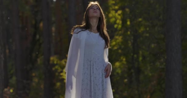 Aranyos kaukázusi lány áll a napfényben az erdőben, és felnéz. Gyönyörű nő világos fehér ruhában tölti a nyári estét egyedül a szabadban. — Stock videók