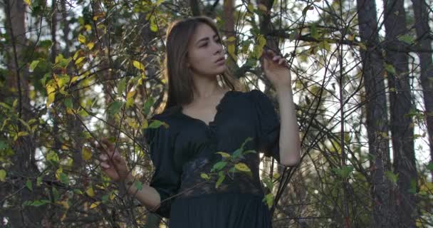 Brune réfléchie fille caucasienne aux yeux bruns debout dans la forêt le soir et regardant ailleurs. Belle femme jouissant du silence à l'extérieur . — Video