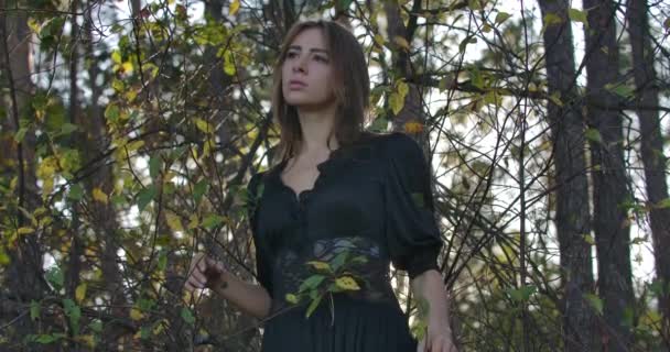 Graziosa ragazza caucasica bruna con gli occhi marroni in piedi nella foresta la sera e guardando altrove. Bella donna godendo il silenzio all'aperto . — Video Stock