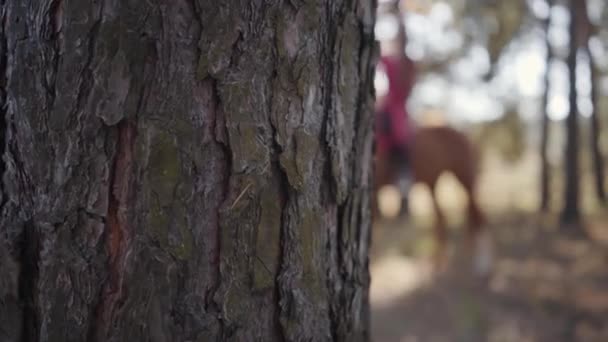 Feliz hembra caucásica ecuestre sentada a caballo, acariciando a su mascota, y sonriendo. Hermosa chica con el pelo rizado largo descansando con su amigo animal en el bosque de otoño . — Vídeos de Stock