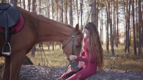 Portré fiatal kaukázusi nőről, aki az őszi erdőben ül és simogatja a lovakat. Mosolygó barna lovas pihen a szabadban vele szép kisállat. — Stock videók