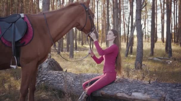 Портрет молодої кавказької жінки з довгим каштановим волоссям, що сидить в осінньому лісі і краде коня. Усміхнена бірюзова веранда відпочиває просто неба зі своєю гарною тваринкою.. — стокове відео