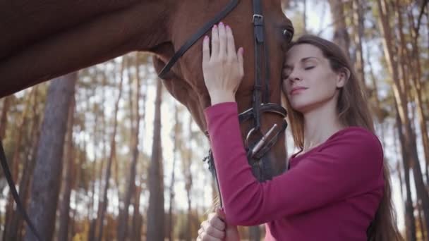 Primer plano de una joven mujer caucásica acariciando a caballo en el bosque otoñal y sonriendo. Hermosa morena ecuestre descansando al aire libre con su encantadora mascota . — Vídeos de Stock