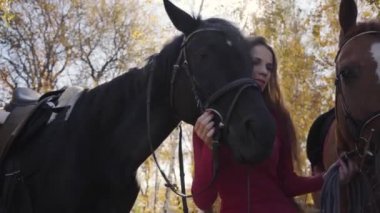İki atın dizginlerini tutan ve konuşan gülümseyen beyaz kadın bir binicinin yakın çekimi. Pembe elbiseli genç kız sonbahar gününü hayvanlarıyla ormanda geçiriyor..