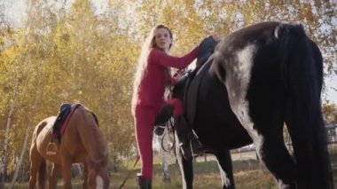 Siyah zarif atı eyerleyen beyaz bir kadın kameraya doğru dönüyor ve gülümsüyor. Sonbahar ormanlarında profesyonel kadın binicilik eğitimi..