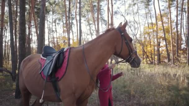 Молода кавказька білявка, одягнена в рожевий одяг, тренує прекрасного коричневого коня в осінньому лісі. Сонячний день проводить з домашнім улюбленцем на свіжому повітрі.. — стокове відео