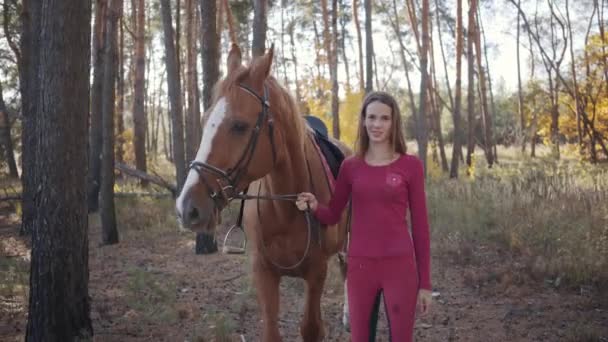 Pembe elbiseli beyaz bir kızın portresi sonbahar ormanında ağaçların arasında güzel kahverengi bir atla yürüyor. Güzel bayan binici evcil hayvanıyla dışarıda dinleniyor.. — Stok video