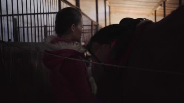 Cavallerizza caucasica femminile che controlla la sella e cammina intorno al cavallo. Giovani equestri che si preparano per un giro nella stalla . — Video Stock