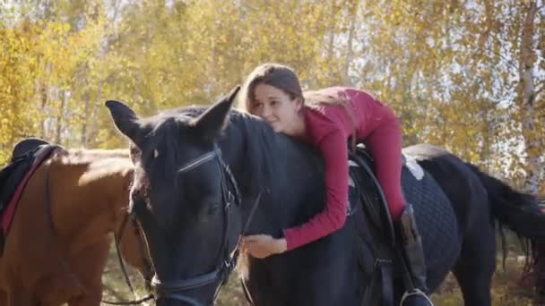 Young Caucasian female equestrian lying on horseback and caressing her pet. Graceful black horse standing in the autumn forest with the young rider on his back. — ストック動画