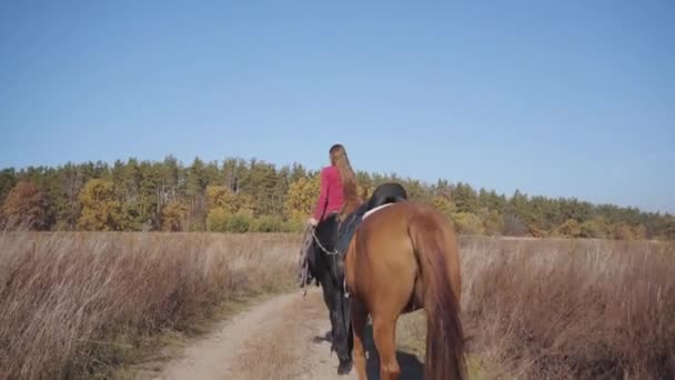 Back view of a young Caucasian female equestrian riding the black horse on the dirt road and holding halter of the brown stallion. Professional jockey in pink clothes spending autumn day outdoors. — Stock Video