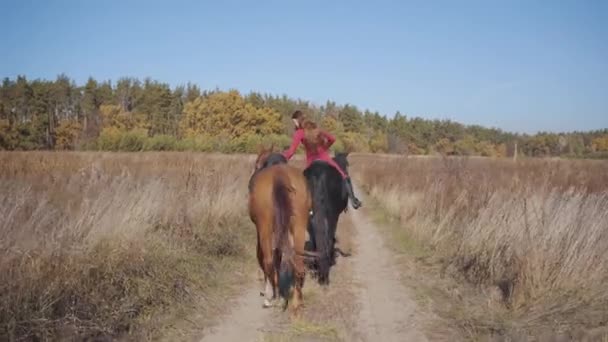 Vista trasera de una hembra ecuestre caucásica montando el caballo negro agraciado en el camino de tierra y sosteniendo el cabestro del semental marrón. Jockey profesional en ropa rosa pasando el día de otoño al aire libre . — Vídeo de stock