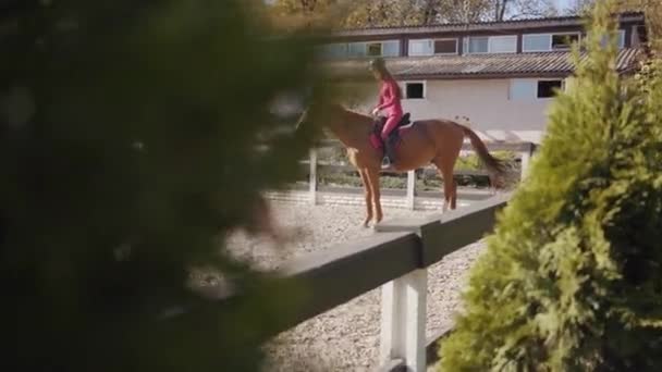 Morena caucásica hembra ecuestre sentado en la parte posterior de elegante caballo marrón. Retrato de un jinete con ropa rosa y casco de montar a caballo en la silla de montar. Disparos desde arbustos . — Vídeos de Stock