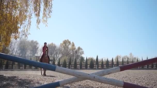 Jong brunette Kaukasisch meisje in roze kleren en paardrijden helm springt de barrière op bruin sierlijk paard en rijden weg van het schot. Professionele vrouwelijke ruitertraining buitenshuis. — Stockvideo