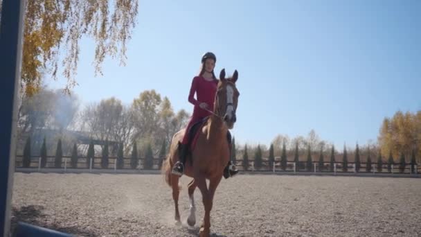 Movimento lento de uma jovem caucasiana em roupas rosa e cavalo equitação capacete salta a barreira no cavalo gracioso marrom e cavalgando longe do tiro. Profissional feminino equestre formação ao ar livre . — Vídeo de Stock