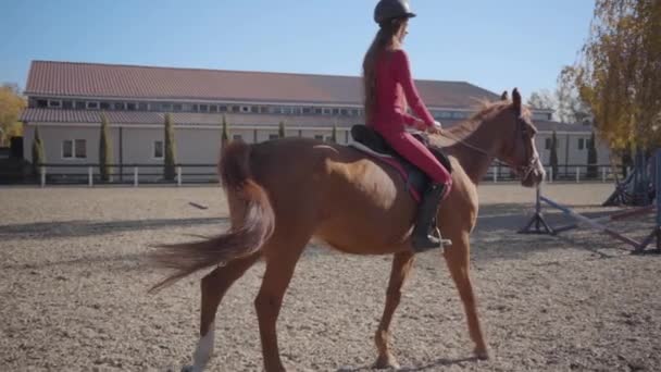 Langzaam van een blank meisje in roze kleren en helm rijden bruin paard in de kraal. jong vrouwelijk ruitersport rusten met haar dier vriend buiten. — Stockvideo