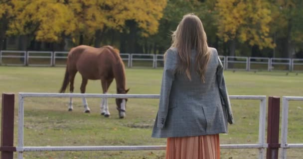 Vista posteriore di attraente donna caucasica con lunghi capelli castani in piedi accanto al recinto nel parco autunnale. Bella ragazza in giacca a scacchi guardando il cavallo che mangia erba. Cinema 4k riprese ProRes HQ . — Video Stock