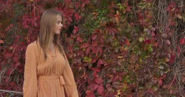Charming brunette Caucasian woman walking by autumn trees with red leaves, looking aroung. Young attractive lady in mustard dress with tweed print strolling in autumn day. Cinema 4k footage ProRes HQ — ストック動画