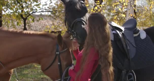 Close-up van een blanke vrouwelijke ruiter die een zwart paard kust in het herfstbos. Mooi meisje met lang bruin haar brengt zonnige dag buiten door met twee paarden. Bioscoop 4k beelden Prores Hq. — Stockvideo