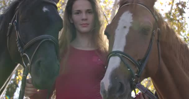Caucasian girl with problem skin and long brown hair standing with two horses outdoors. Sick woman undergoing hippotherapy in sunny autumn forest. Cinema 4k footage ProRes HQ. — Stock Video