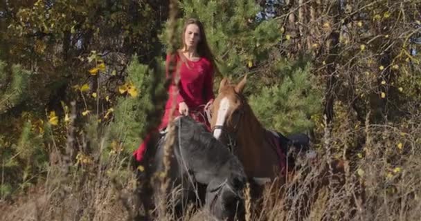 Retrato de una joven ecuestre caucásica sentada en la espalda de un caballo negro y sosteniendo el cabestro de un semental marrón. Jockey profesional que pasa un día soleado de otoño en el bosque. Cinema 4k metraje ProRes HQ — Vídeo de stock