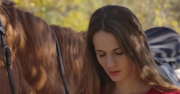 Κοντινό πλάνο του επαγγελματία καυκάσιου αναβάτη που φοράει κράνος ιππασίας. Πορτρέτο ενός νεαρού κοριτσιού στέκεται με καφέ άλογο στο φως του ήλιου στο δάσος του φθινοπώρου. Κινηματογράφος 4k πλάνα Prores Hq. — Αρχείο Βίντεο