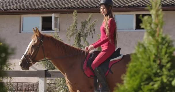 Brunette caucasiana fêmea equestre sentado na parte de trás do cavalo marrom gracioso. Retrato de um jóquei em roupas cor-de-rosa e capacete de cavalo na sela. Cinema 4k footage ProRes HQ . — Vídeo de Stock