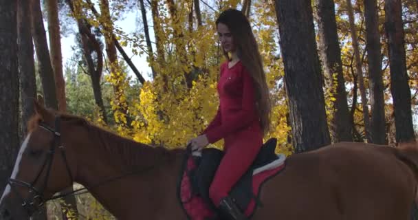 Vue latérale de la fille caucasienne avec de longs cheveux bruns en vêtements roses assis à cheval brun dans la forêt d'automne. Jeune femme équestre reposant avec un animal gracieux à l'extérieur. Cinéma 4k séquences ProRes HQ — Video