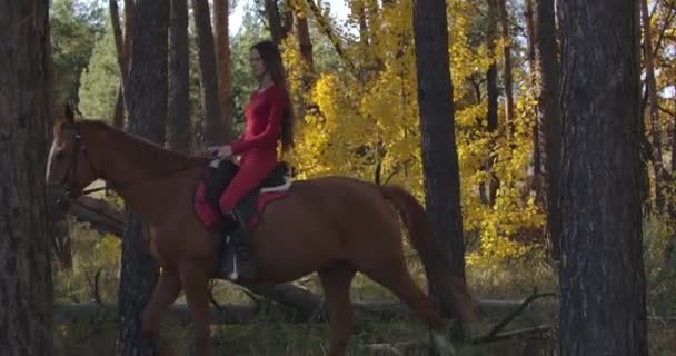 秋天的森林里，身穿粉色衣服、长发的白人妇女骑着棕色的马骑着马的侧视图。 年轻的女骑手和她的动物朋友在户外休息。 电影4k镜头Prores Hq. — 图库视频影像