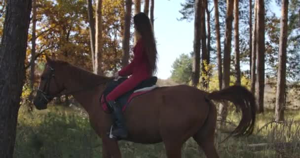 Hoogleraar Kaukasische vrouwelijke ruiter gekleed in roze kleding paardrijden bruin paard in het najaar bos. Jonge vrouwelijke ruiter rustend met haar dierenvriend buiten. Bioscoop 4k beelden Prores Hq. — Stockvideo