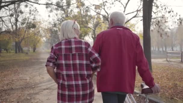 Vista trasera de pareja caucásica madura caminando por el callejón en el parque. Feliz familia jubilada pasando la noche de otoño al aire libre. Envejecer juntos, concepto de amor eterno . — Vídeo de stock