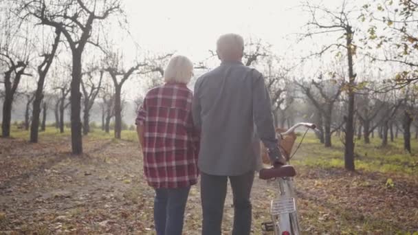 Back view of senior Caucasian couple walking with bicycle in the foggy forest. Happy retired senior family spending autumn evening outdoors. Aging together, eternal love concept. — Stock Video