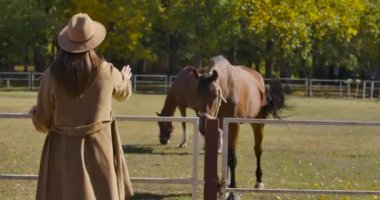 Uzun kahverengi saçlı beyaz bir kadın zarif kahverengi atıyla ağılına doğru geliyor. Zarif ceketli, şapkalı ve güneş gözlüklü bir kız kameraya dönüp gülümsüyor. Sinema 4k görüntüleri Prores Hq.
