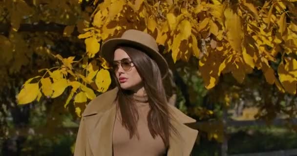 Портрет уверенной европейской девушки в коричневой шляпе и солнцезащитных очках, стоящих на фоне желтых листьев. Очаровательная белая женщина позирует в осеннем парке. Съемки в кинотеатре 4k . — стоковое видео
