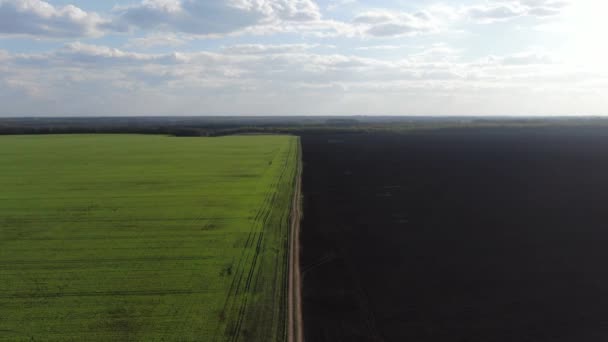 Vue par drone de champs agricoles cultivés sous un ciel bleu ensoleillé avec des nuages de fuseaux. Paysage calme dans la zone agricole en Ukraine. Beauté, jardinage .