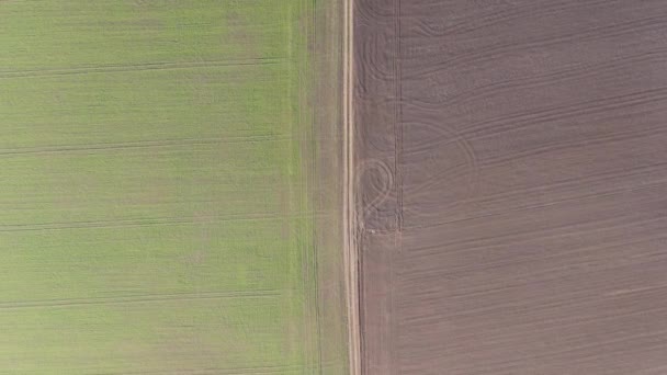 Camera moves along cultivated field on spring or summer day. Aerial view of fertile black earth in Ukraine. Nature, agronomy, agriculture, gardening. — Stock Video