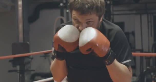 Sebevědomý kavkazský boxer s živou kamerou v tělocvičně. Portrét silného muže v boxerských rukavicích, jak boxuje před kamerou. Sport, síla, životní styl, vytrvalost. Cinema 4k ProRes HQ. — Stock video