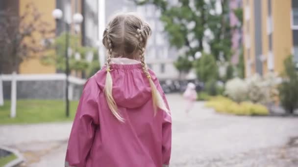 Rückansicht eines kleinen Mädchens mit Zöpfen im rosafarbenen wasserdichten Mantel, das draußen spaziert. Blondes hübsches kaukasisches Kind, das an einem Frühlings- oder Sommertag im Freien ruht. Lebensstil, Freizeit, Entspannung. — Stockvideo