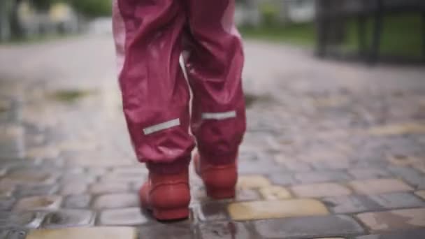 カメラは小さな女の子の足の水たまりの上を歩くに従います。歩道に沿って雨の日に屋外を散歩ピンクと赤の服で子供のバックビュー。子供時代、レジャー、ライフスタイル. — ストック動画