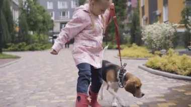 Küçük bir av köpeği ve güneşli bir günde dışarı çıkan beyaz bir kız. Mutlu çocuk ve evcil hayvan gezintisinin portresi. Eğlence, eğlence, yaşam tarzı..