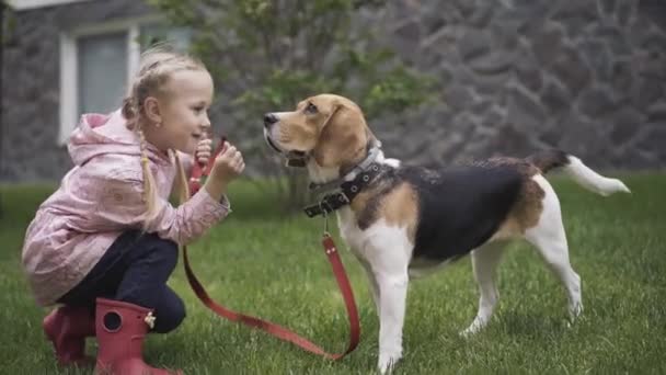 Vista lateral da menina feliz brincando com o cão ao ar livre. Retrato de criança caucasiana alegre e beagle descansando juntos no dia ensolarado da primavera ou do verão. Lazer, animais domésticos, infância, estilo de vida . — Vídeo de Stock